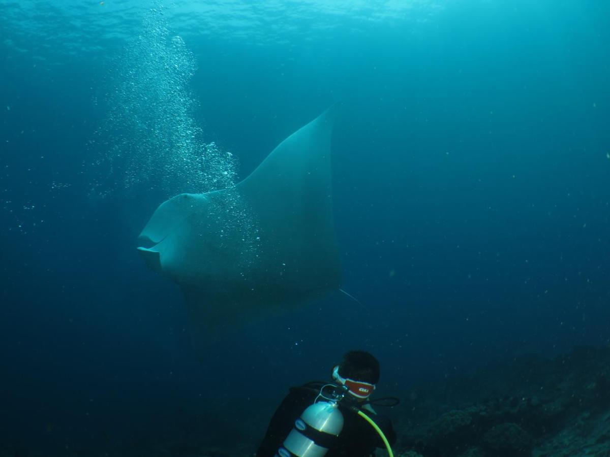 Hamueco Dive Resort Raja Ampat Rabia Kültér fotó