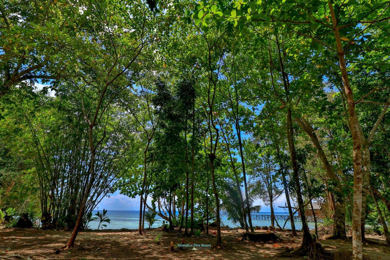Hamueco Dive Resort Raja Ampat Rabia Kültér fotó