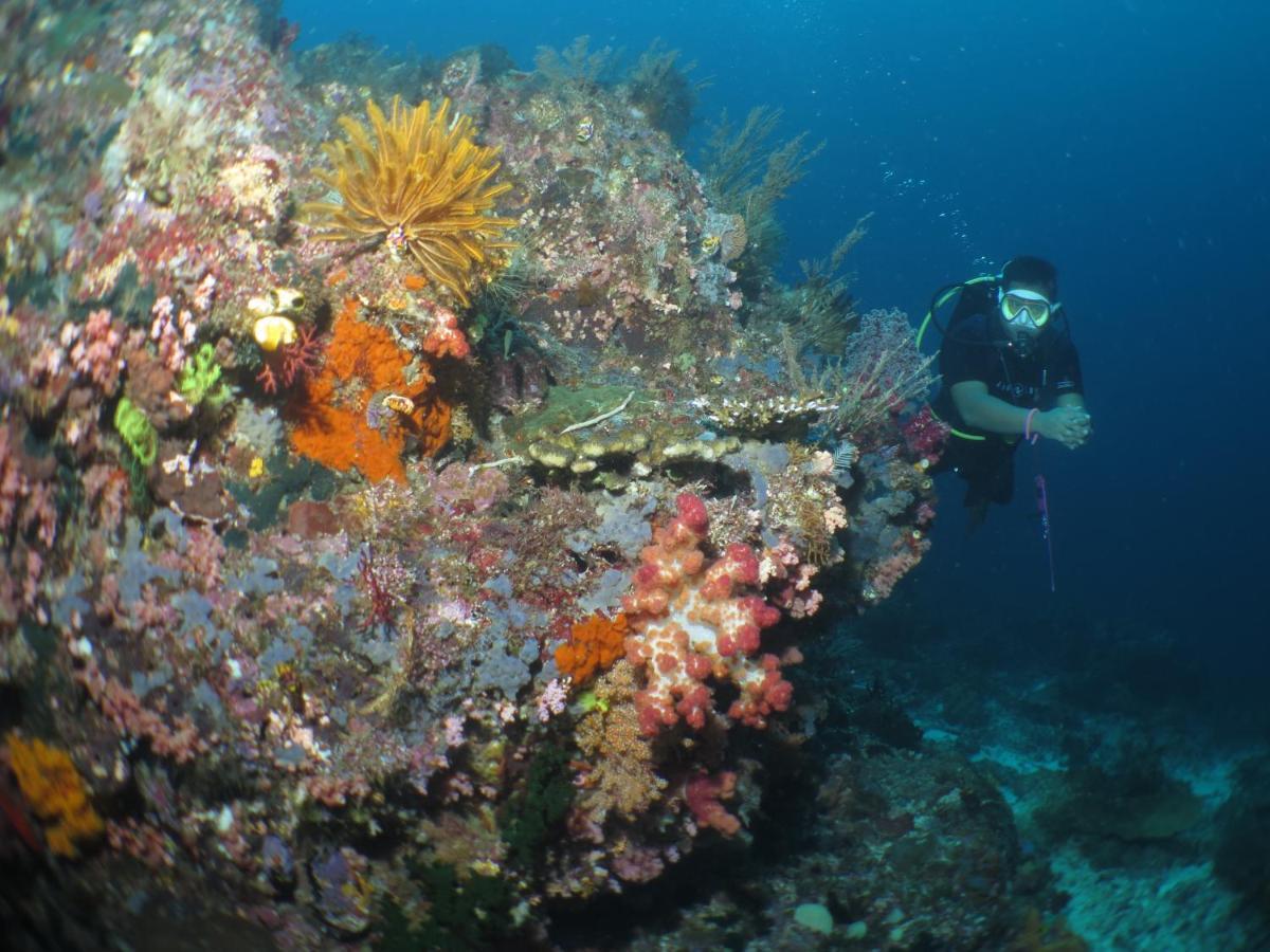 Hamueco Dive Resort Raja Ampat Rabia Kültér fotó